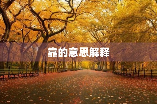靠的意思解释(靠)