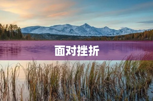 面对挫折，你是如何坚持前行的？