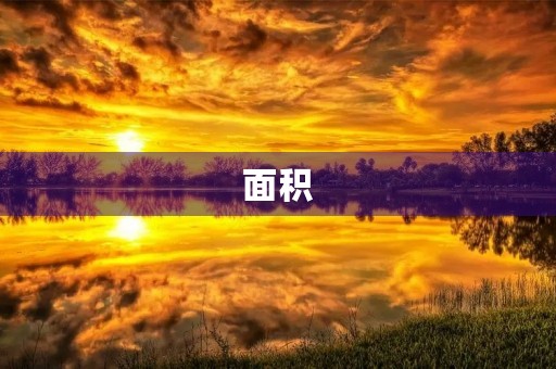 面积