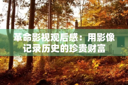 革命影视观后感:用影像记录历史的珍贵财富 革命影视观后感:用影像记录历史的珍贵财富
