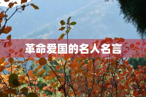 革命爱国的名人名言,革命爱国名言大全 革命爱国的名人名言,革命爱国名言大全