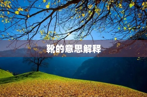 靴的意思解释(靴的拼音)