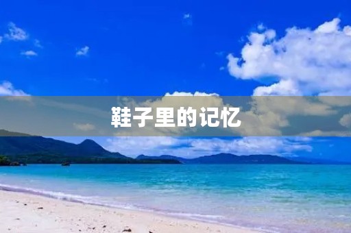鞋子里的记忆 鞋子里的记忆