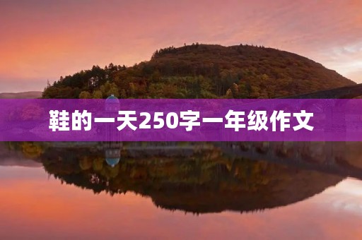 鞋的一天250字一年级作文