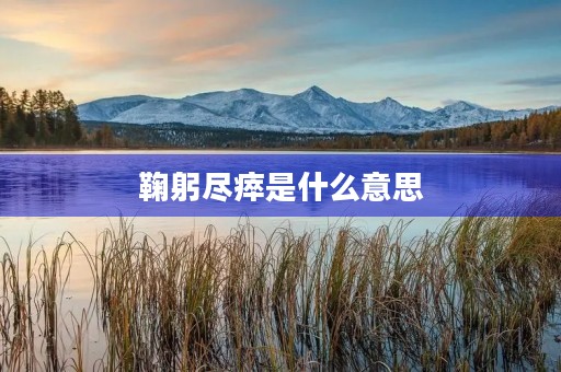 鞠躬尽瘁是什么意思 鞠躬尽瘁是什么意思