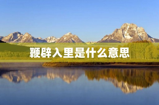 鞭辟入里是什么意思 鞭辟入里是什么意思