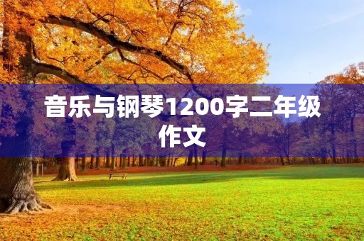 音乐与钢琴1200字二年级作文