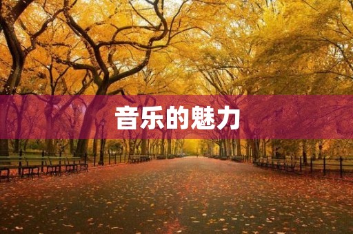音乐的魅力