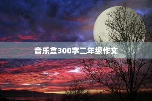 音乐盒300字二年级作文