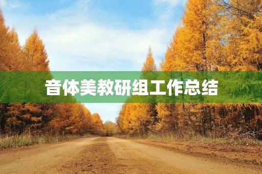 音体美教研组工作总结