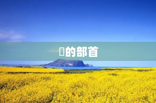 頔的部首(頔)