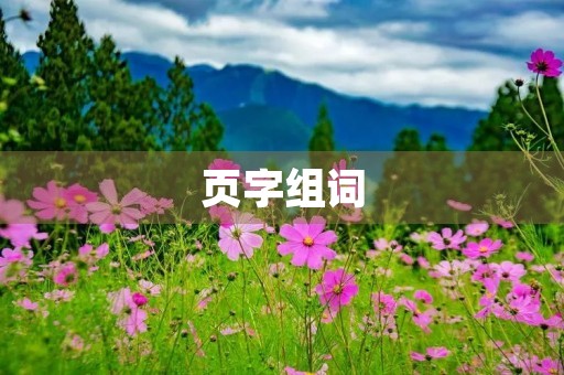 页字组词(页组词)