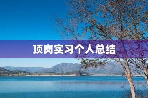 顶岗实习个人总结