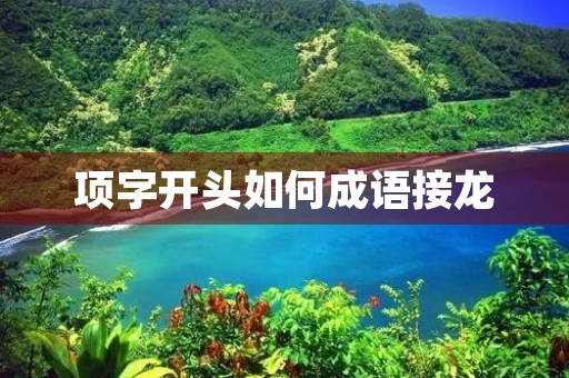 项字开头如何成语接龙