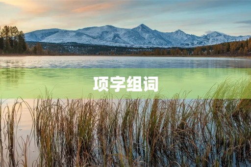 项字组词(项组词)