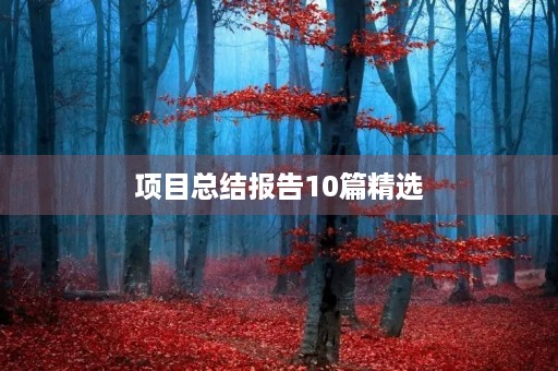 项目总结报告10篇精选