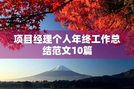 项目经理个人年终工作总结范文10篇