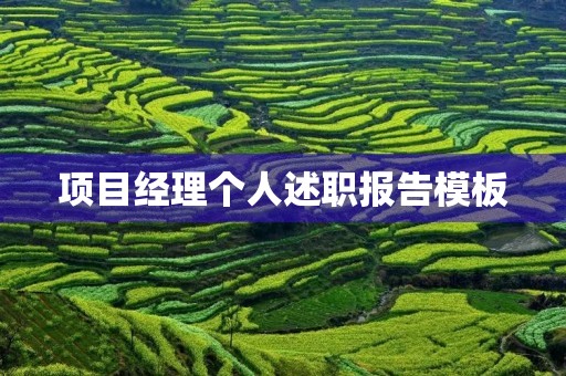 项目经理个人述职报告模板