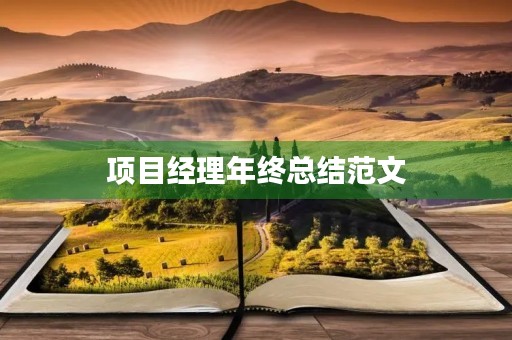 项目经理年终总结范文,项目经理年终工作总结范文2020 项目经理年终总结范文,项目经理年终工作总结范文2020