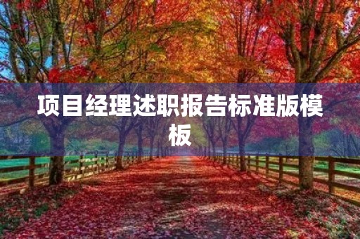 项目经理述职报告标准版模板(10篇)