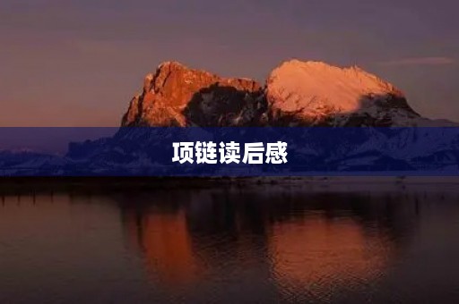 项链读后感