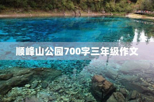 顺峰山公园700字三年级作文 顺峰山公园700字三年级作文