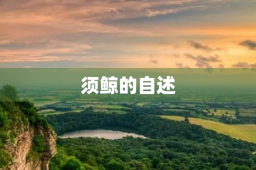 须鲸的自述