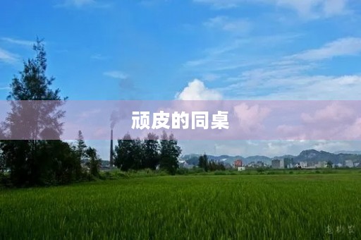 顽皮的同桌