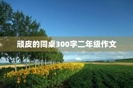顽皮的同桌300字二年级作文 顽皮的同桌300字二年级作文
