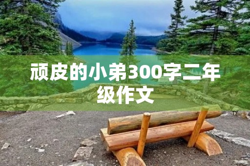 顽皮的小弟300字二年级作文 顽皮的小弟300字二年级作文
