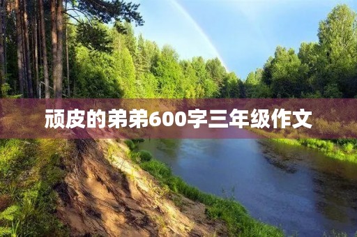 顽皮的弟弟600字三年级作文