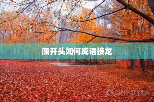 顾开头如何成语接龙 顾开头如何成语接龙