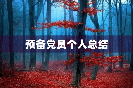 预备党员个人总结