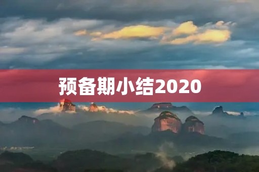 预备期小结2020(2020年基层党建工作述职报告)