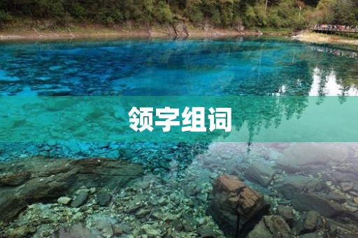 领字组词(领的组词) 领字组词(领的组词)