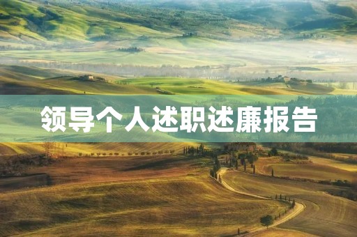 领导个人述职述廉报告（10篇）