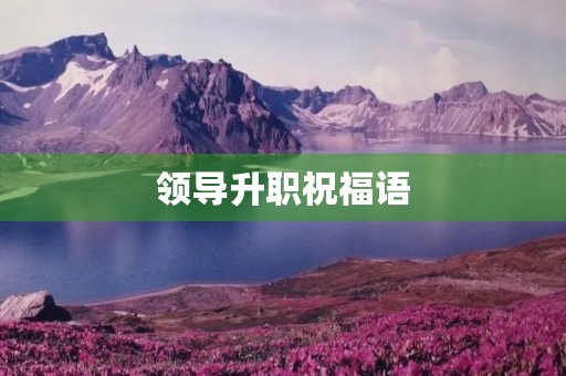 领导升职祝福语(领导高升赠言简短)