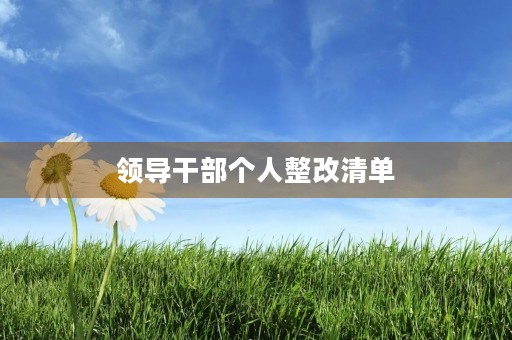 领导干部个人整改清单 领导干部个人整改清单