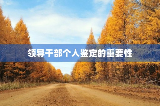 领导干部个人鉴定的重要性 领导干部个人鉴定的重要性