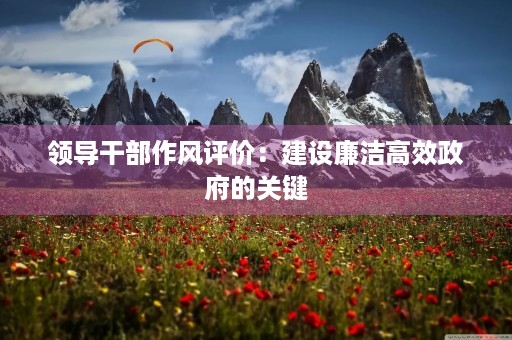 领导干部作风评价：建设廉洁高效政府的关键