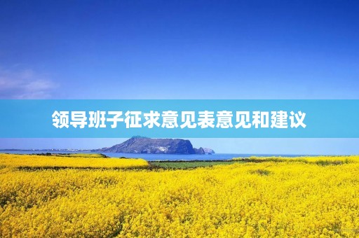 领导班子征求意见表意见和建议