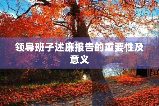 领导班子述廉报告的重要性及意义 领导班子述廉报告的重要性及意义