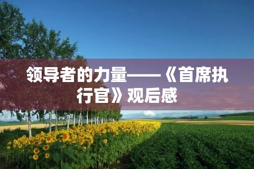 领导者的力量——《首席执行官》观后感 领导者的力量——《首席执行官》观后感