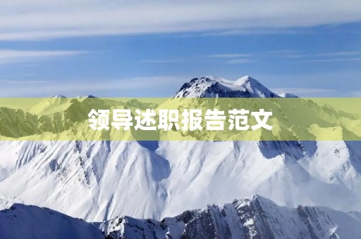 领导述职报告范文 领导述职报告范文