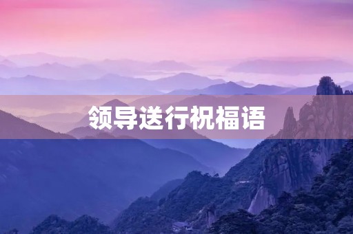 领导送行祝福语(给领导送行的话 简短)