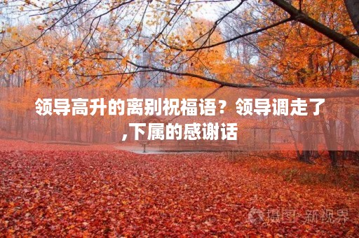 领导高升的离别祝福语?领导调走了,下属的感谢话