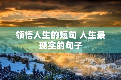 领悟人生的短句 人生最现实的句子