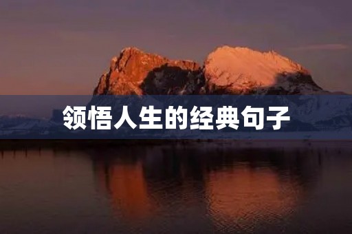 领悟人生的经典句子,领悟人生的经典句子能提高口才吗 领悟人生的经典句子,领悟人生的经典句子能提高口才吗