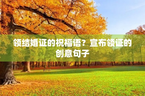 领结婚证的祝福语？宣布领证的创意句子