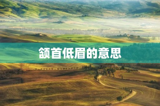 颔首低眉的意思(颔首低眉) 颔首低眉的意思(颔首低眉)